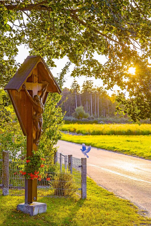 Image: 18_O5A3452 Schusterhiasl.jpg